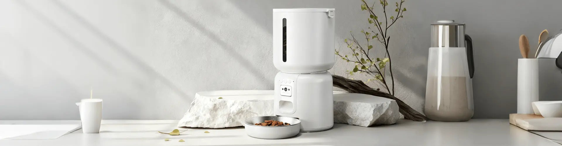 How Many Meals a Day Should Your Cat Eat? A Guide to Healthy Feeding Habits