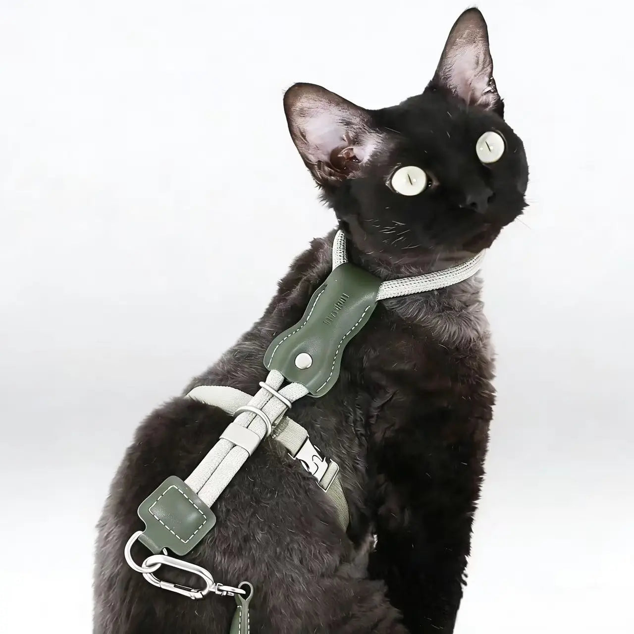 Black cat wearing a Petaura adjustable cat harness with leash, comfortable and secure outdoor cat walking set