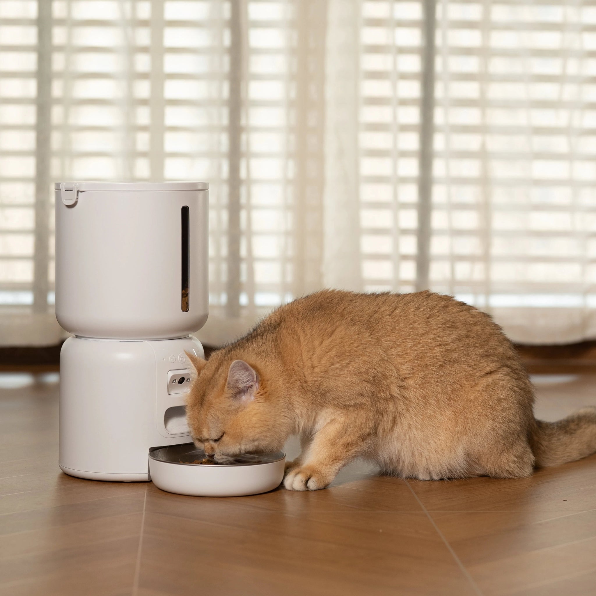 Cat eating from a white pet feeder on a wooden floor with blinds in the background