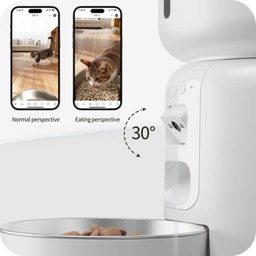 Automatic cat feeder with smartphone app showing cat's perspective, on a white background