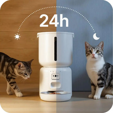 Two cats and a white smart pet feeder.