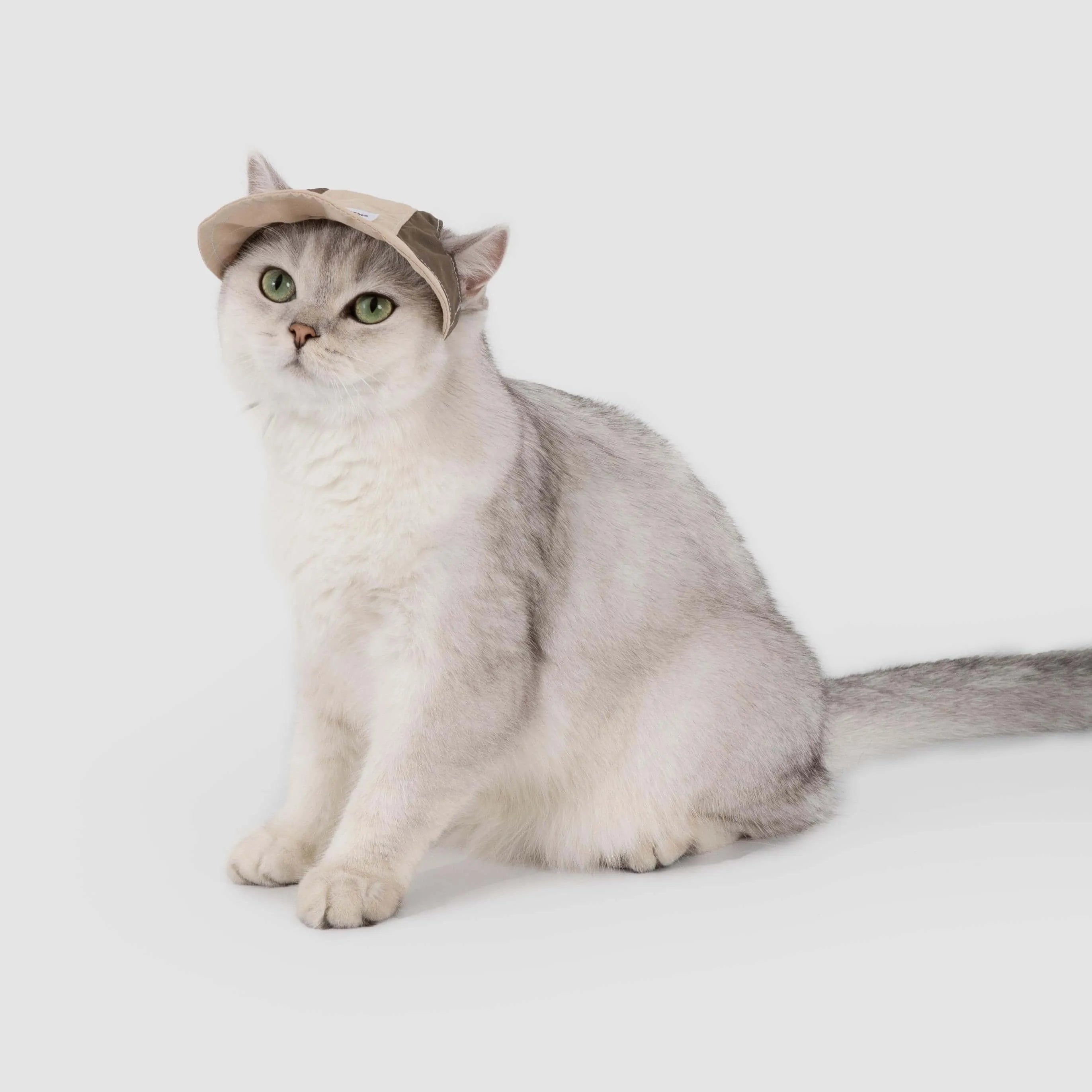 Petaura Adjustable Cat Sun Hat With Ear Holes Chin Strap