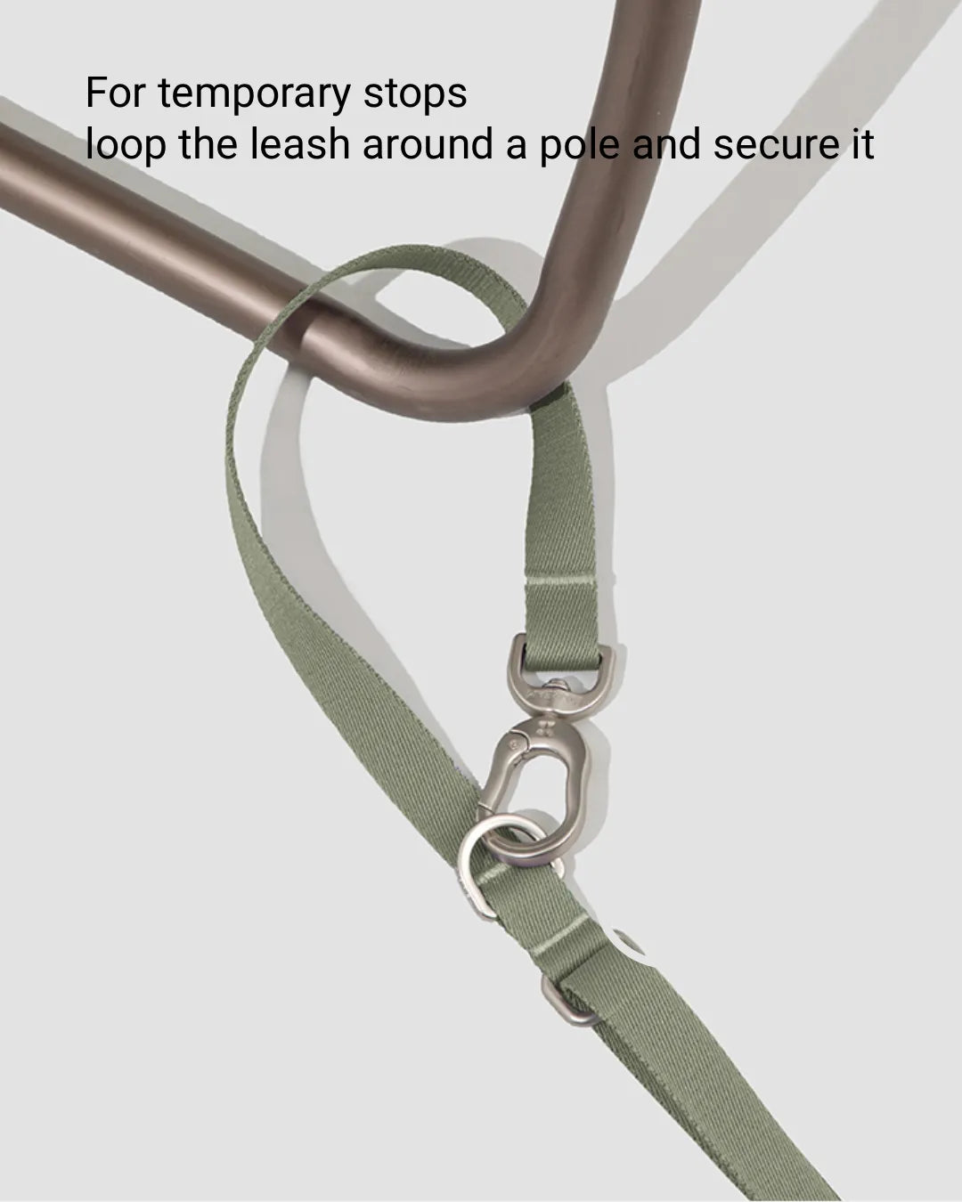 Dog leash looped around a pole for temporary hands-free use during outdoor walk