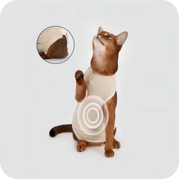 Full coverage cat recovery suit protecting surgical wounds and preventing licking