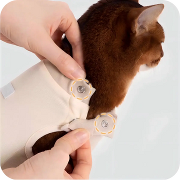 Snap button closure design on cat recovery suit for easy wearing and secure fit