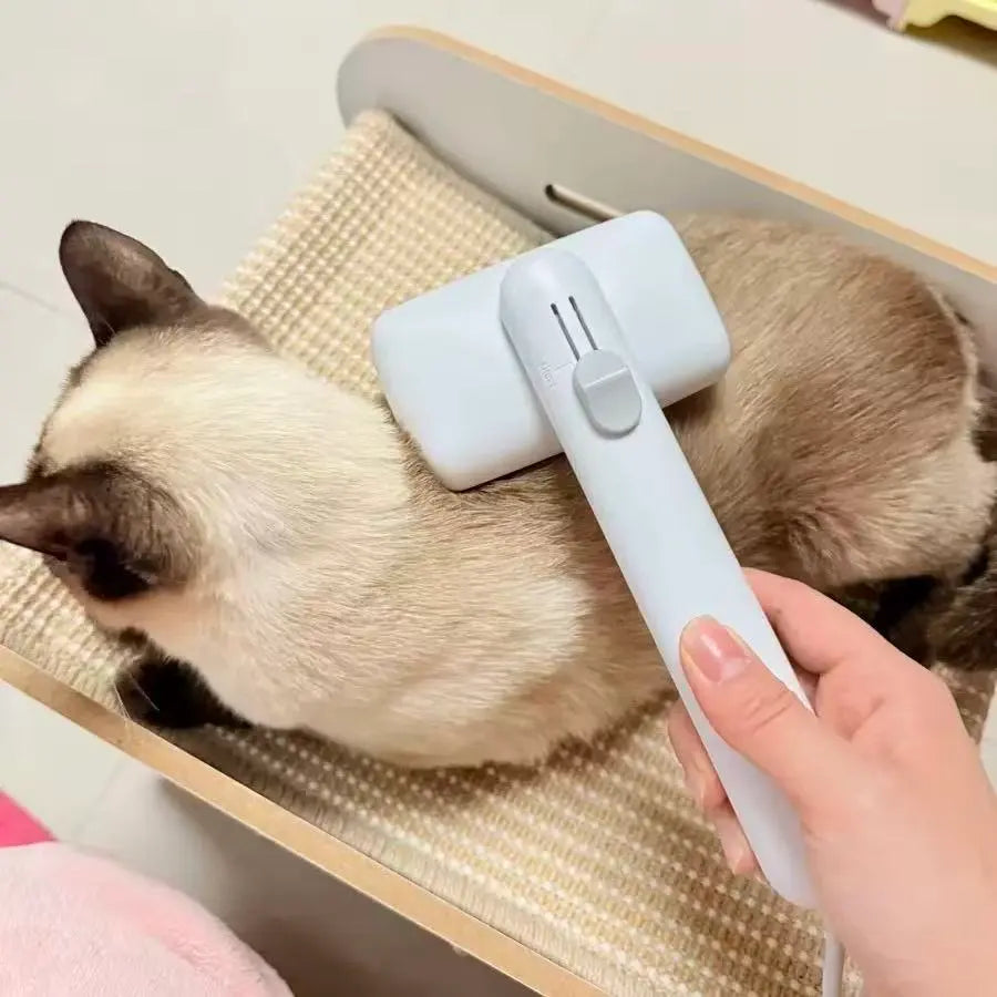 Cat grooming brush in use on an indoor cat, removing loose fur and reducing shedding during daily pet grooming