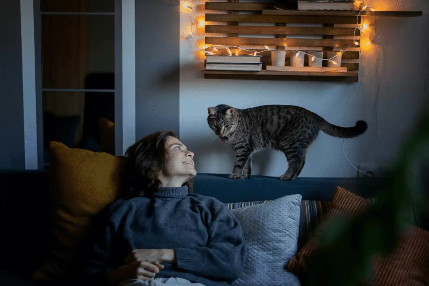 Person lying on a couch with a cat sitting on their chest in a cozy room.