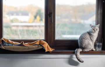 Gray cat sitting on a windowsill with a view of greenery outside