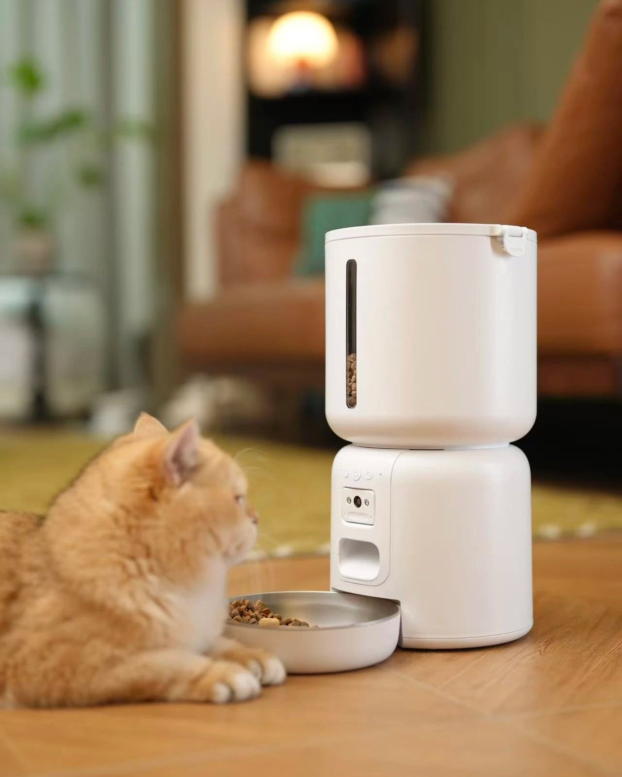 Cat eating from a white pet feeder on a wooden floor.