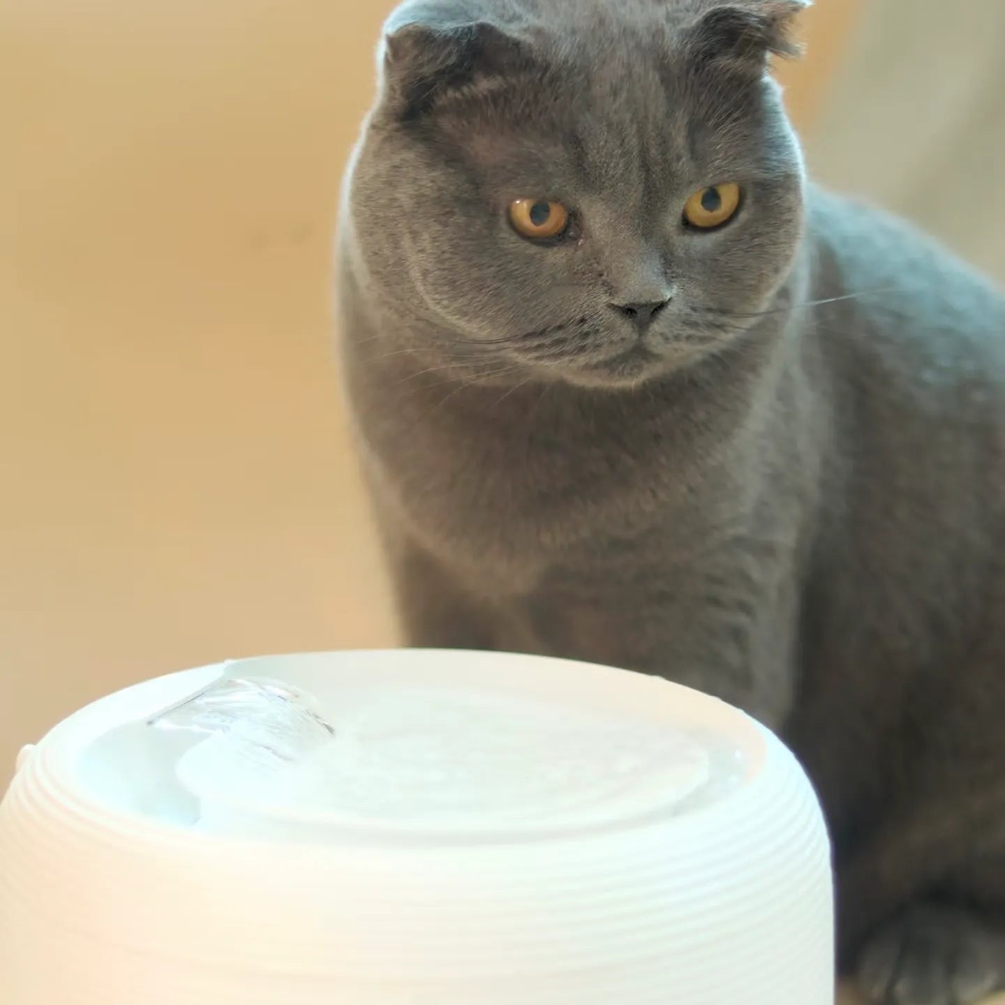Replacement Filter