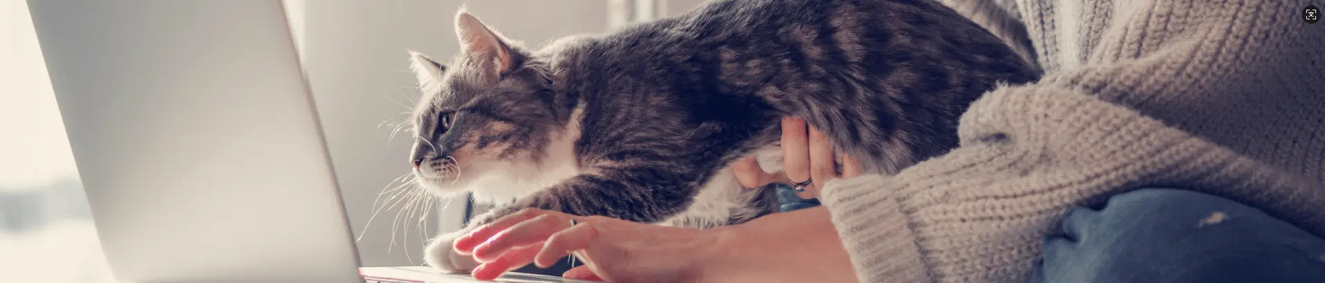 slider image slider_item_XMeXrA