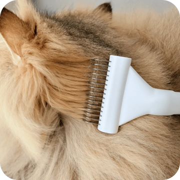 De-matting undercoat rake grooming a long-haired cat, effectively removing loose undercoat and tangles