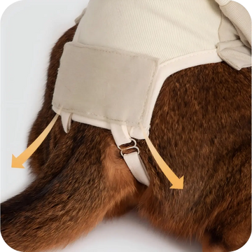 Adjustable tail strap design on cat surgery recovery suit for comfort and hygiene