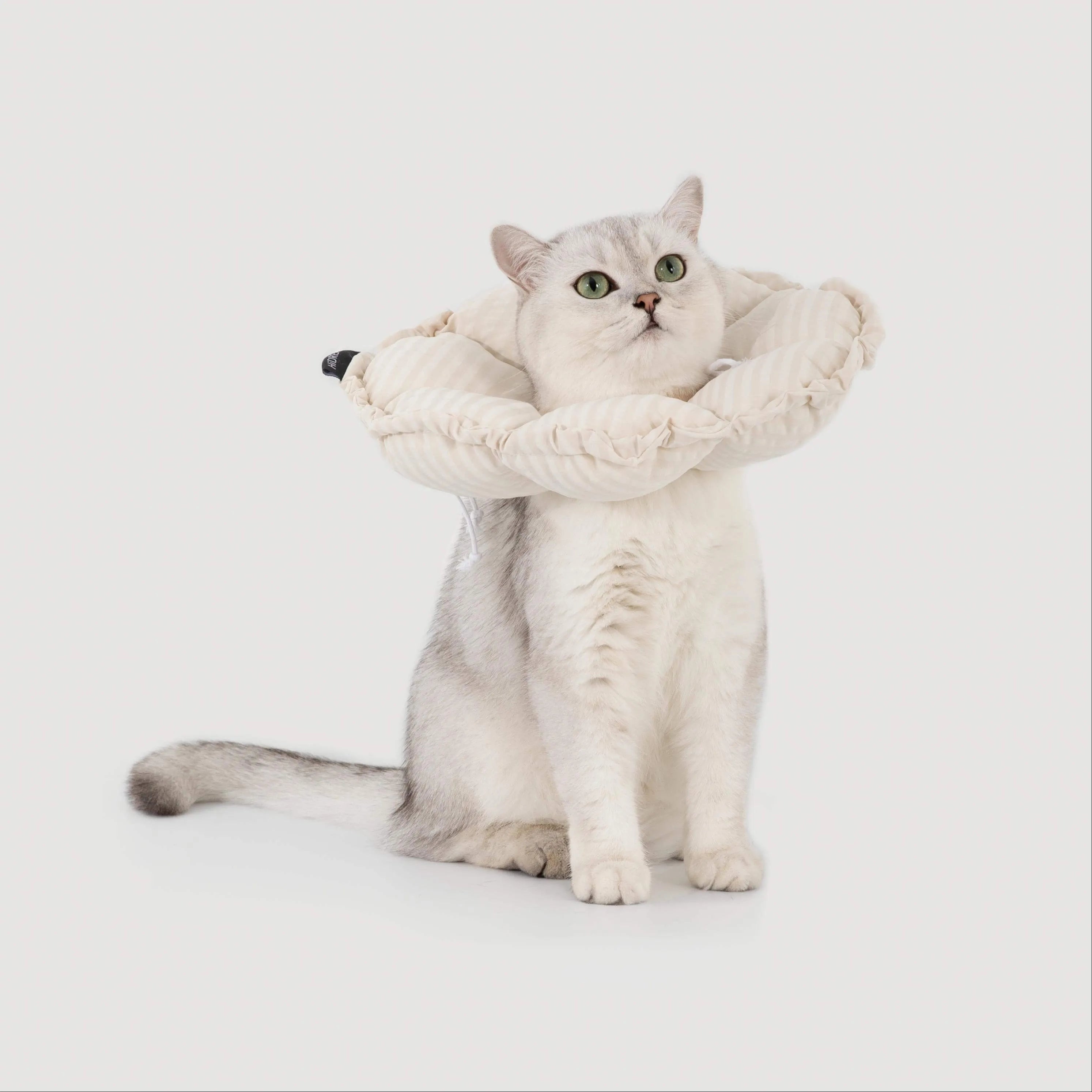 Petaura Cat Cone Recovery Collar