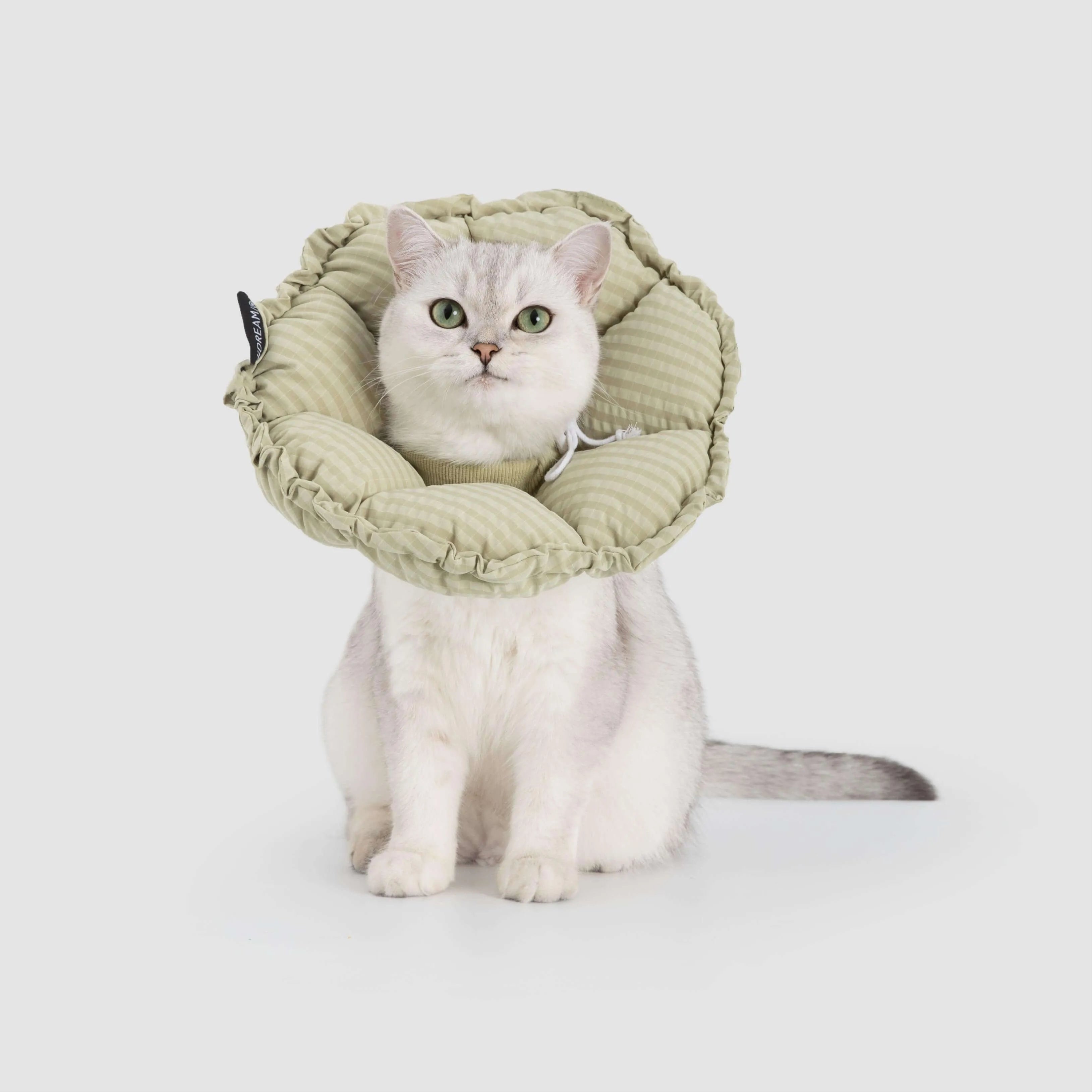 Petaura Cat Cone Recovery Collar