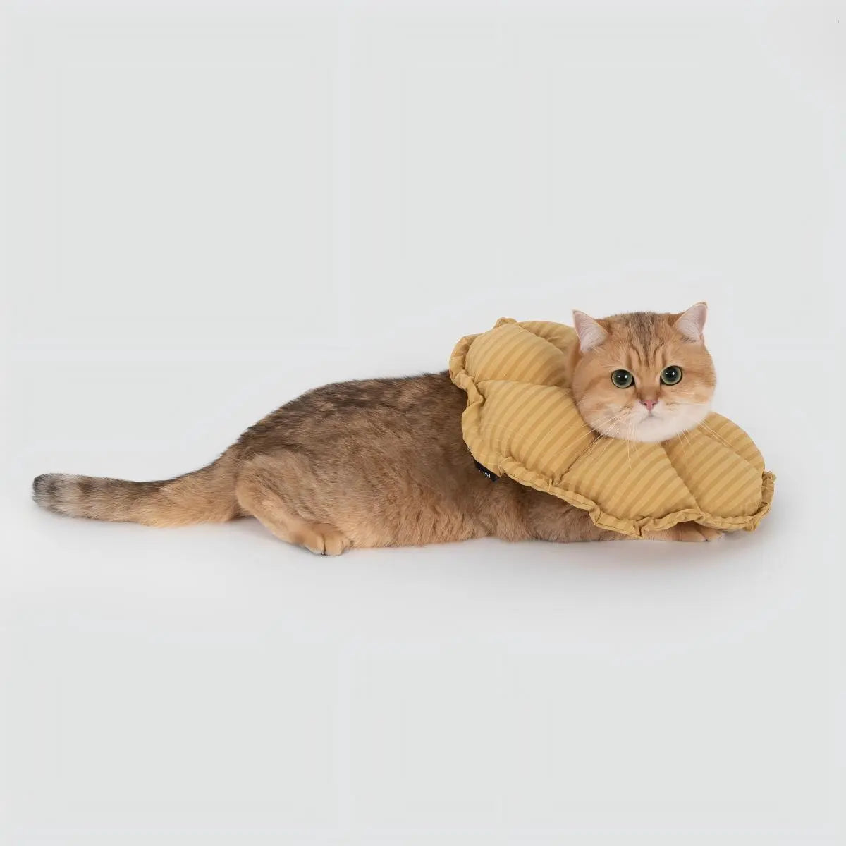 Lightweight soft cat cone collar comfortable Elizabethan collar for cats