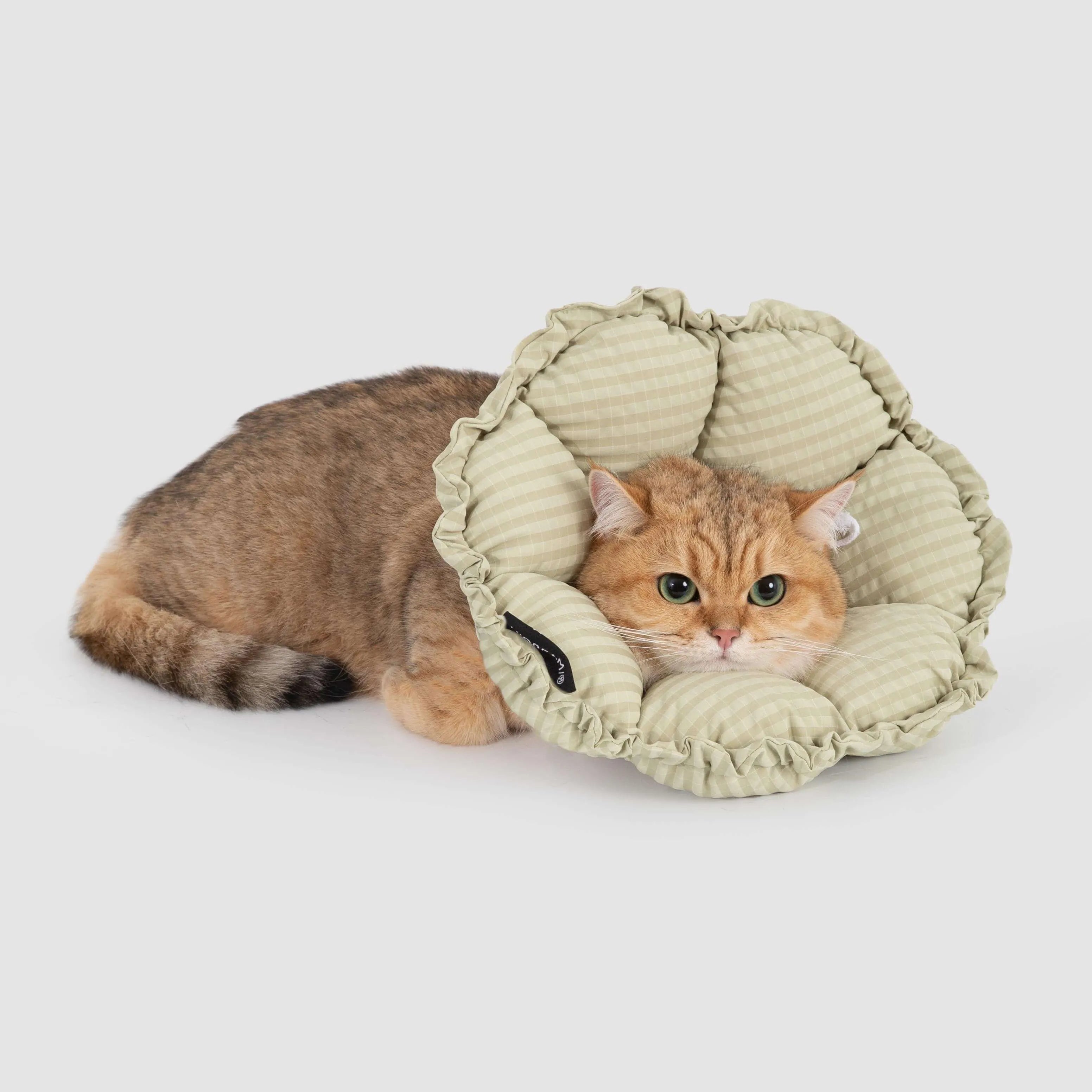 Petaura Cat Cone Recovery Collar