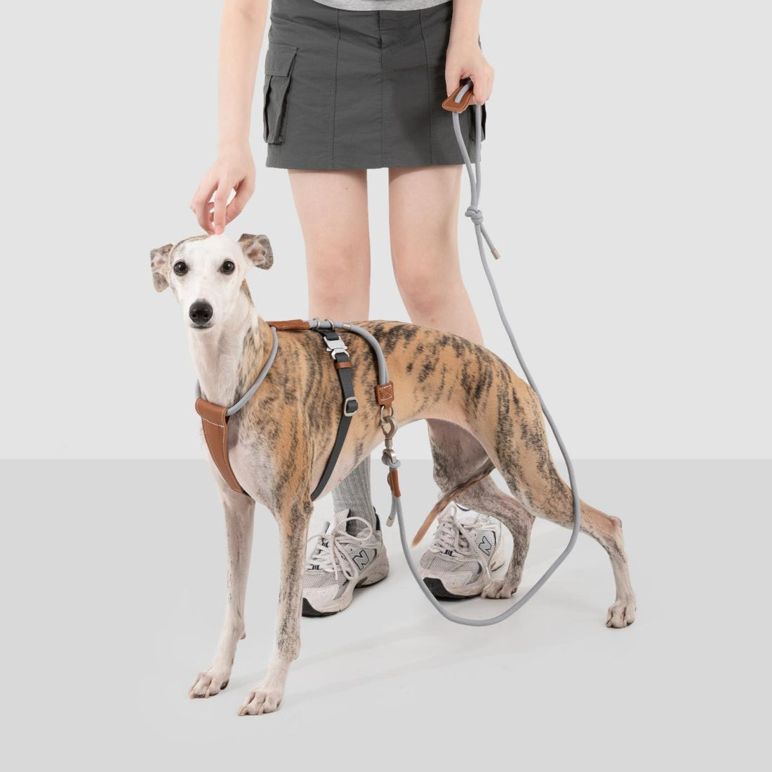 Petaura Dog Harness With Handle