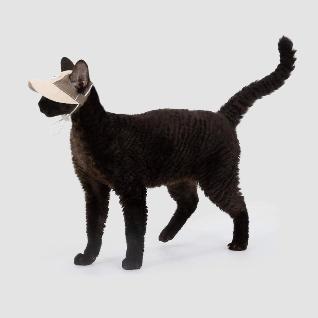 Petaura Adjustable Cat Sun Hat With Ear Holes Chin Strap