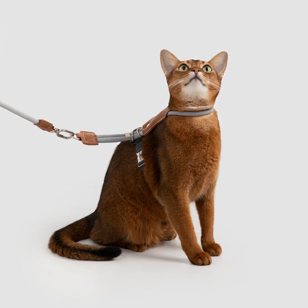 Petaura Adjustable H-Style Cat Harness & Leash Set