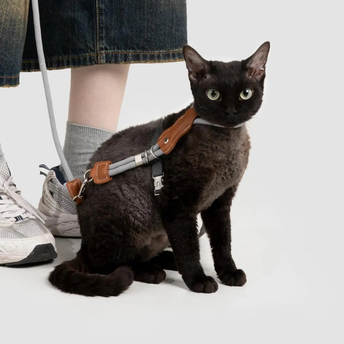 Petaura  Adjustable H-Style Cat Harness & Leash Set Brown