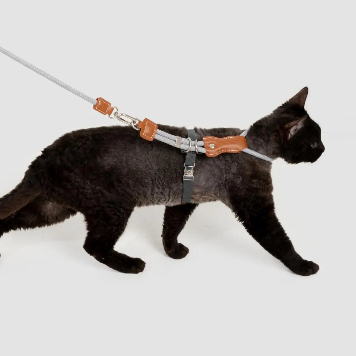 Petaura  Adjustable H-Style Cat Harness & Leash Set Brown