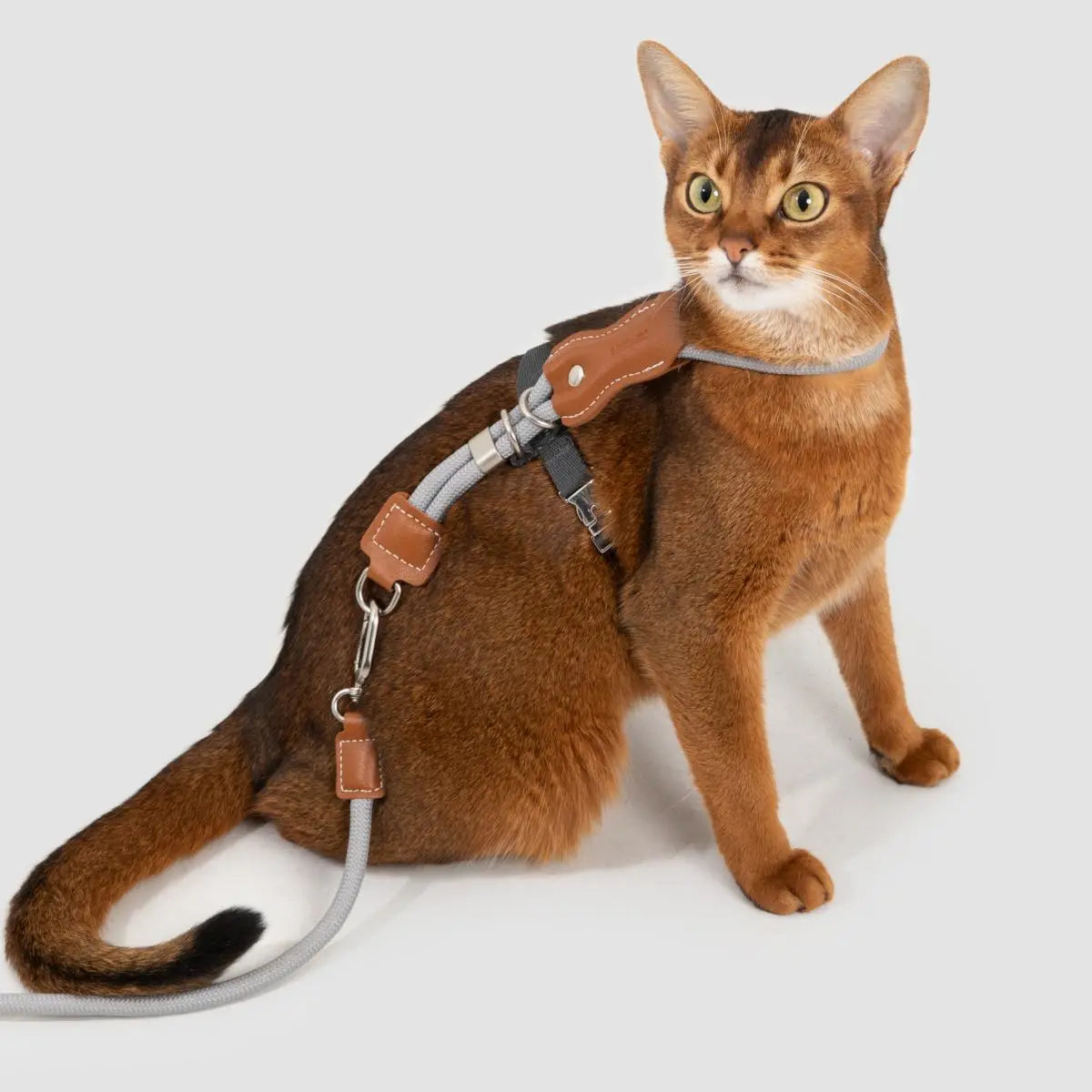 Petaura  Adjustable H-Style Cat Harness & Leash Set Brown