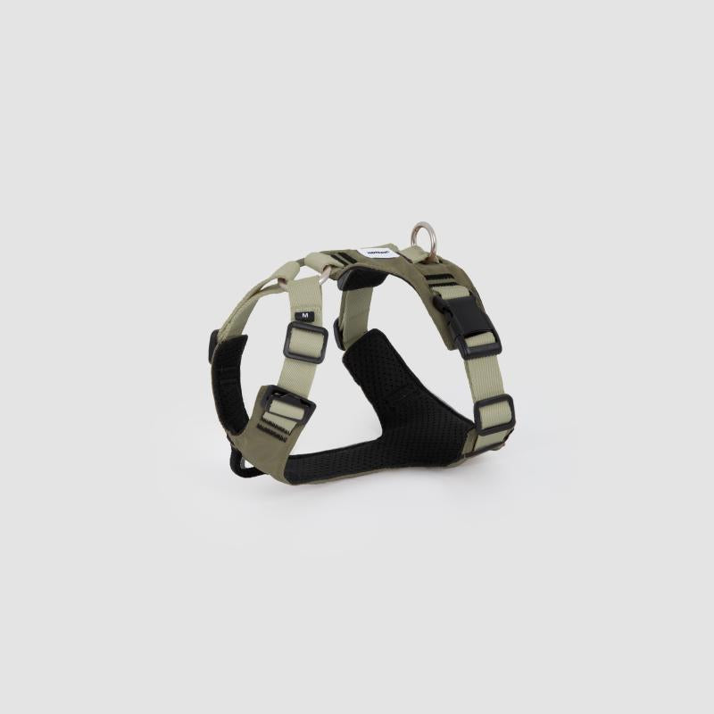 Green adjustable dog harness with breathable mesh padding and sturdy buckles, product display