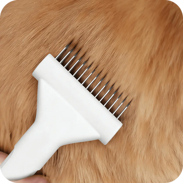 De-matting undercoat rake gently removing loose hair from a thick-coated dog