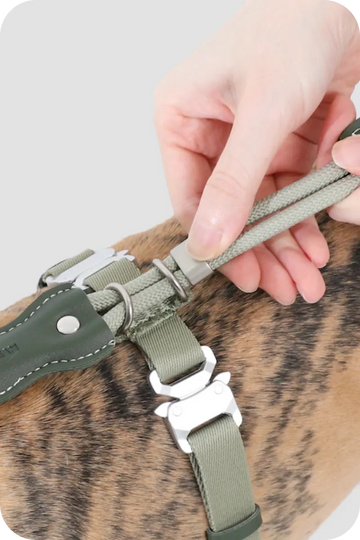 Hand adjusting rope leash connection on durable dog harness with metal hardware
