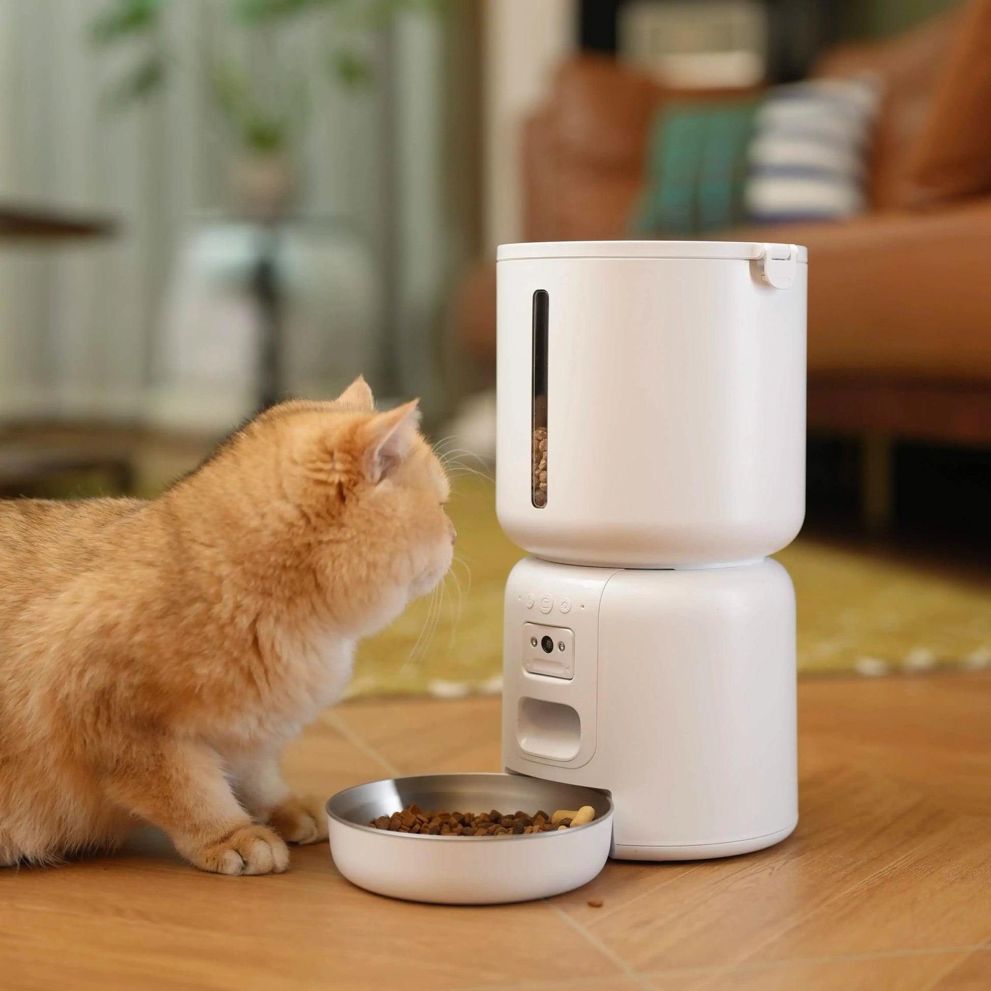 Cat interacting with a white pet feeder on a wooden floor.