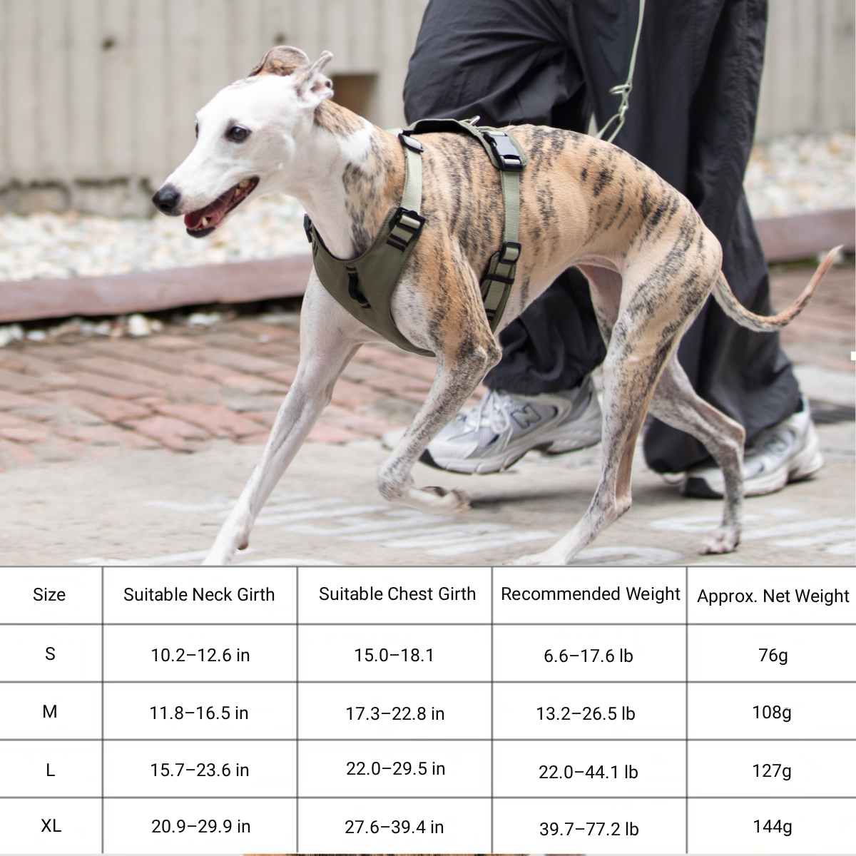 New Arrival-Petaura No Pull Dog Harness