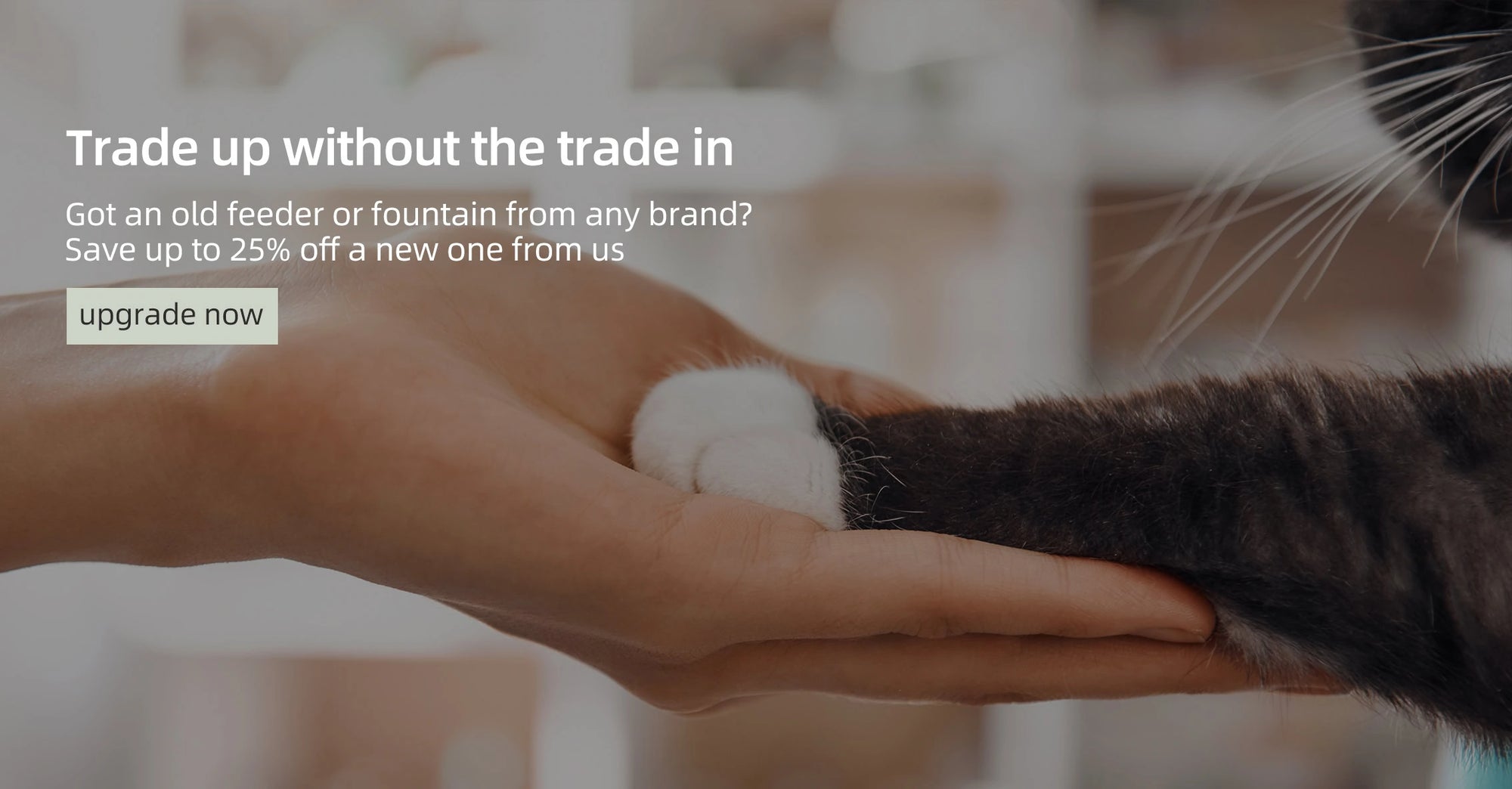 Person holding a cat's paw with promotional text overlay