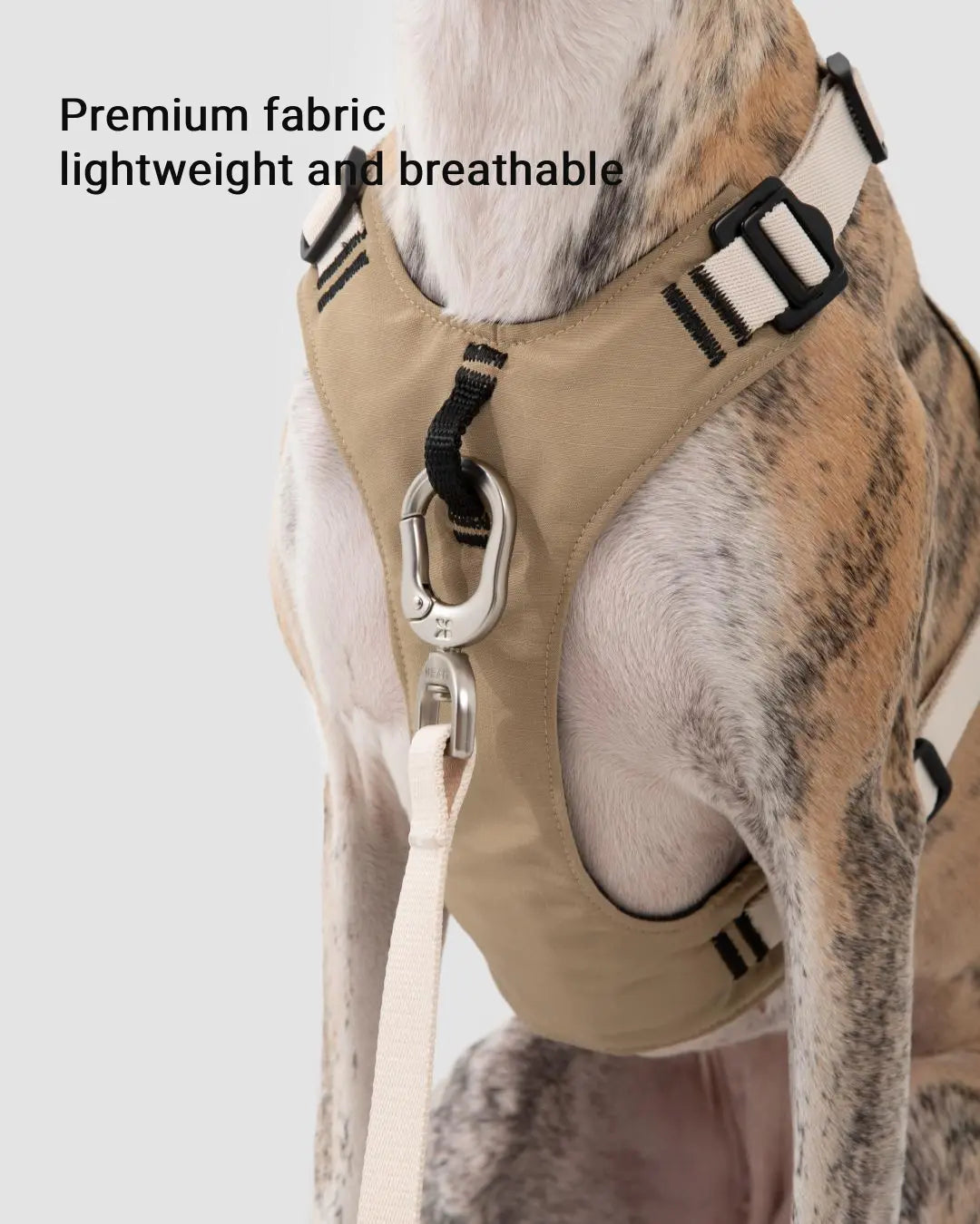 Close-up of dog harness made from premium lightweight breathable fabric with durable stitching