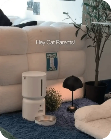 Automatic cat feeder set up in a living room, providing scheduled meals for cats at home