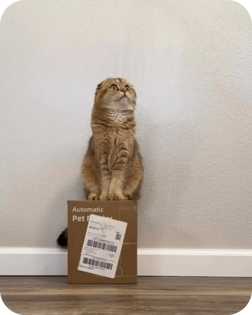 Cat sitting on an automatic cat feeder box, showing packaging and product branding