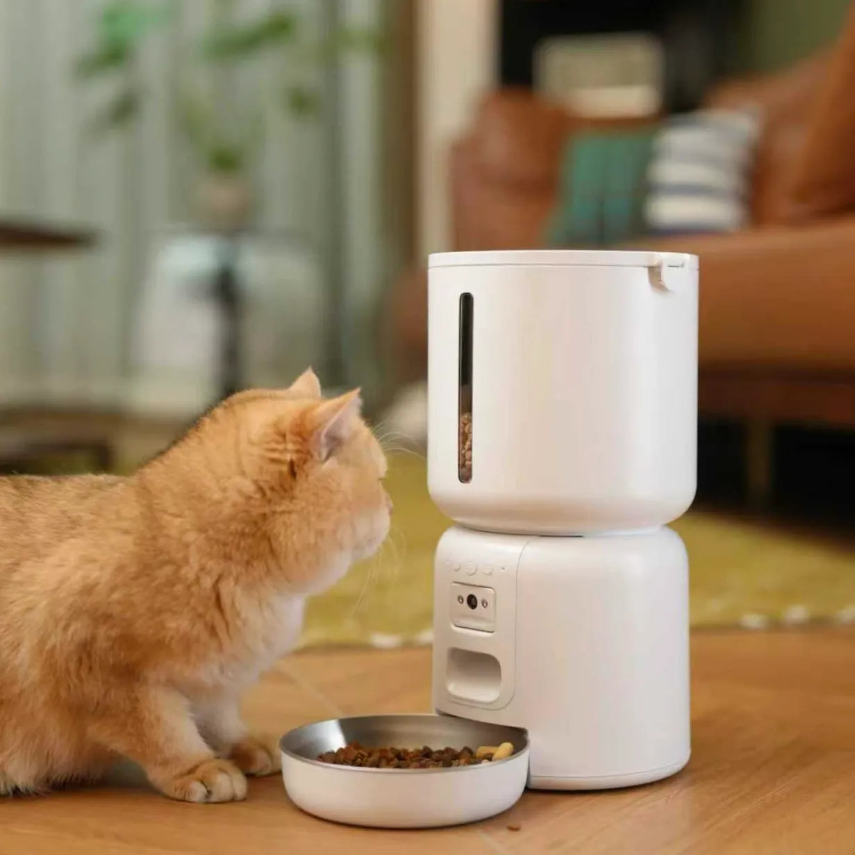 Cat interacting with a white pet feeder on a wooden floor.