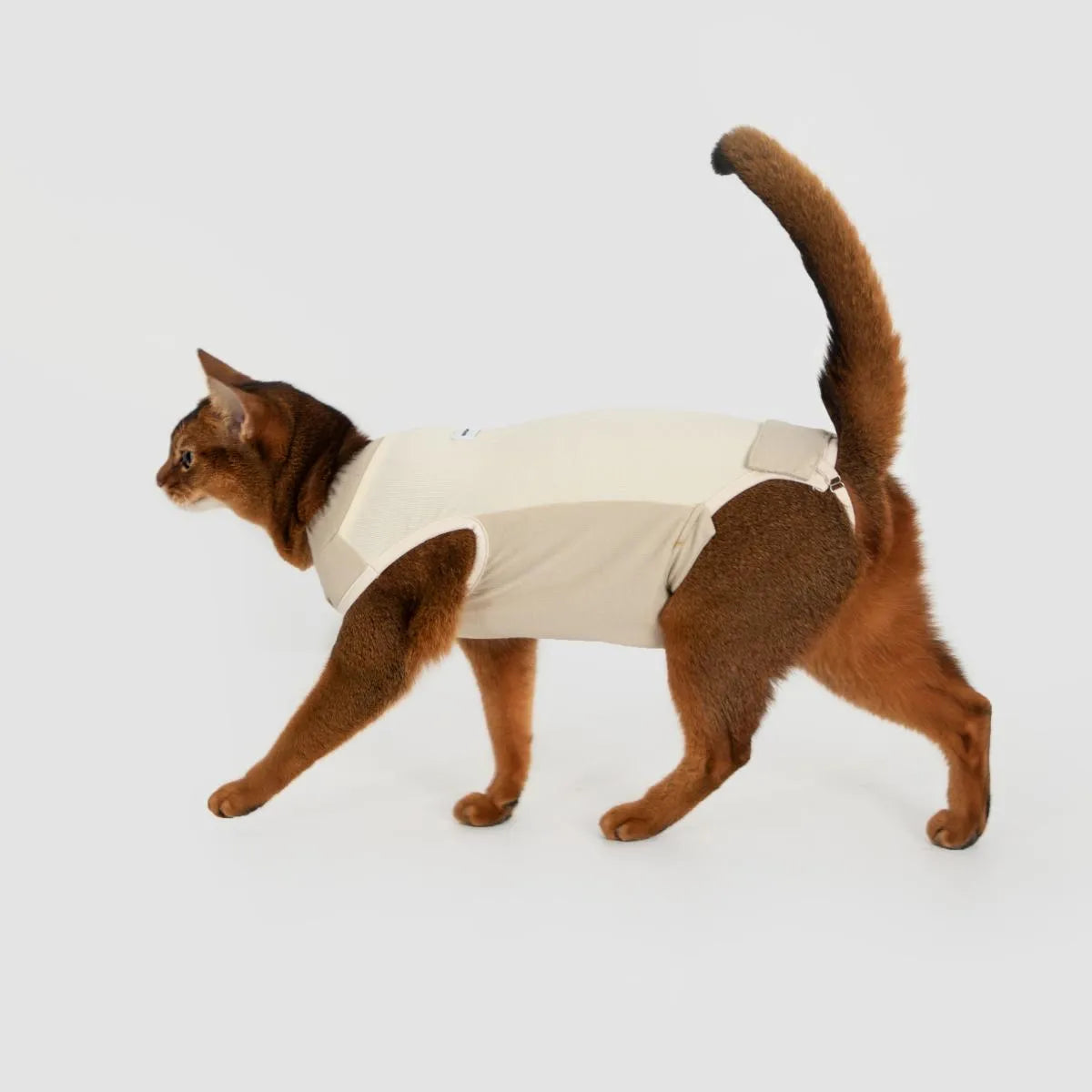 Petaura Cat Recovery Suit