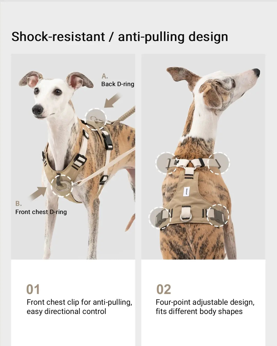Dog harness with front chest D-ring and back D-ring, designed for anti-pulling and control