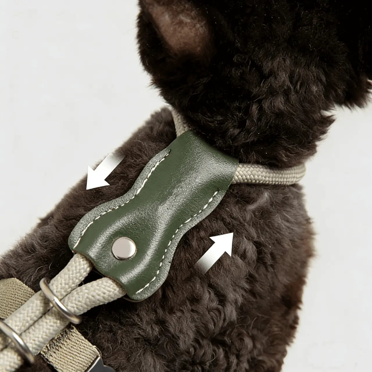 Adjustable Cat Harness & Leash Set showing comfortable back fit on a cat with leather connector