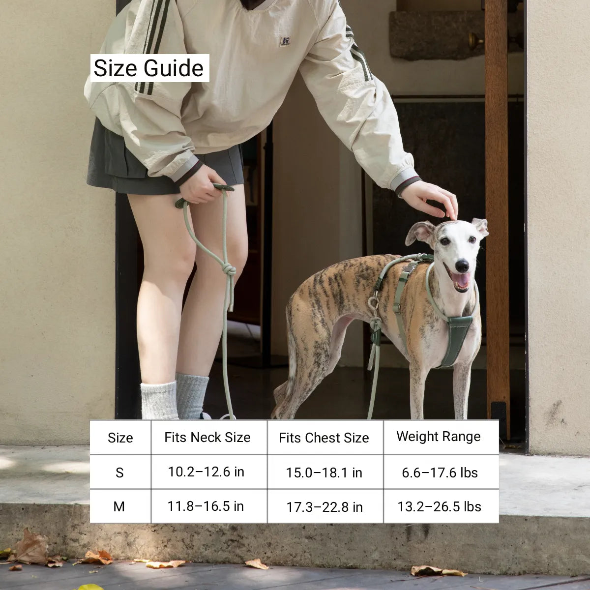 Dog wearing a harness next to owner with size guide chart showing neck, chest measurements and weight range for S and M sizes