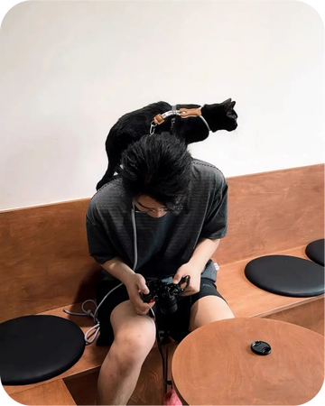 Black cat sitting on owner's shoulder with a harness and leash, demonstrating hands-free control