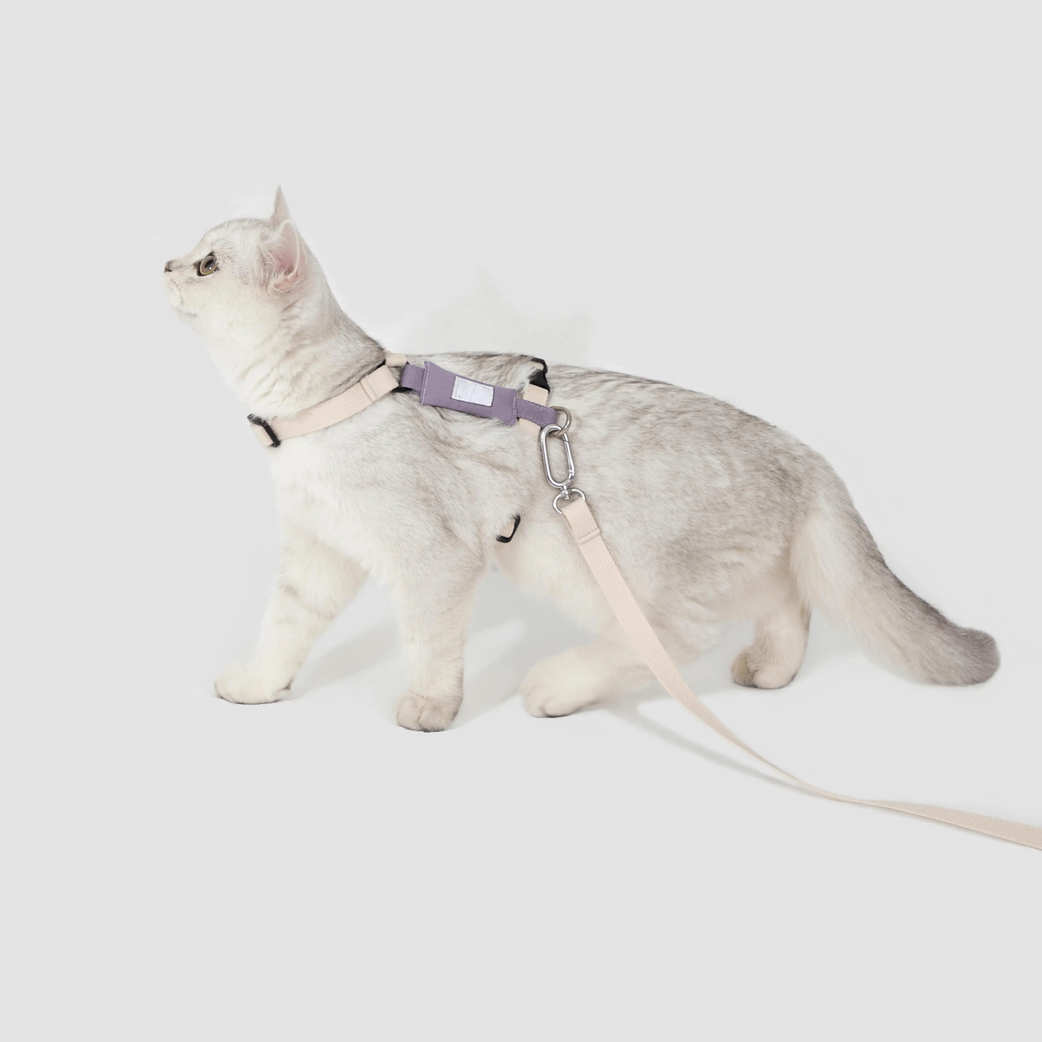 Petaura Cat & Kitten Adjustable Harness and Leash Set – Basic Version