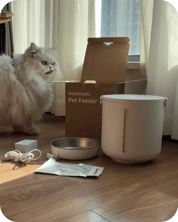 Automatic cat feeder with accessories displayed on the floor, next to a cat and packaging box