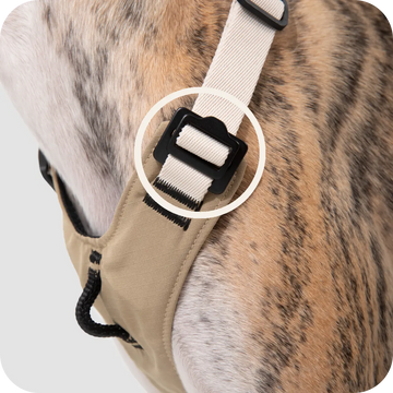 adjustable dog harness strap with durable buckle close up for custom fit