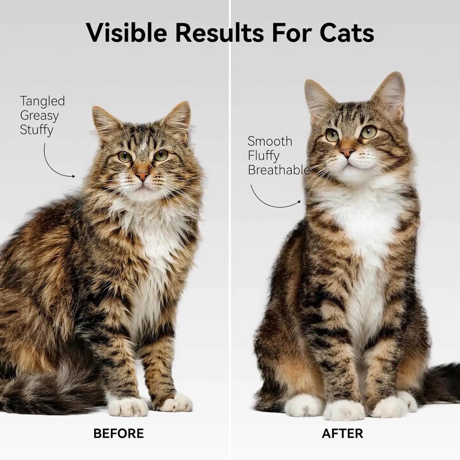 Before and after results for cats using a de-matting undercoat rake—coat looks smoother, fluffier, and more breathable