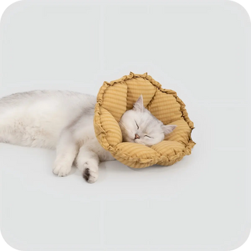 Comfortable soft cat recovery collar allowing cats to rest and sleep easily after surgery without stress