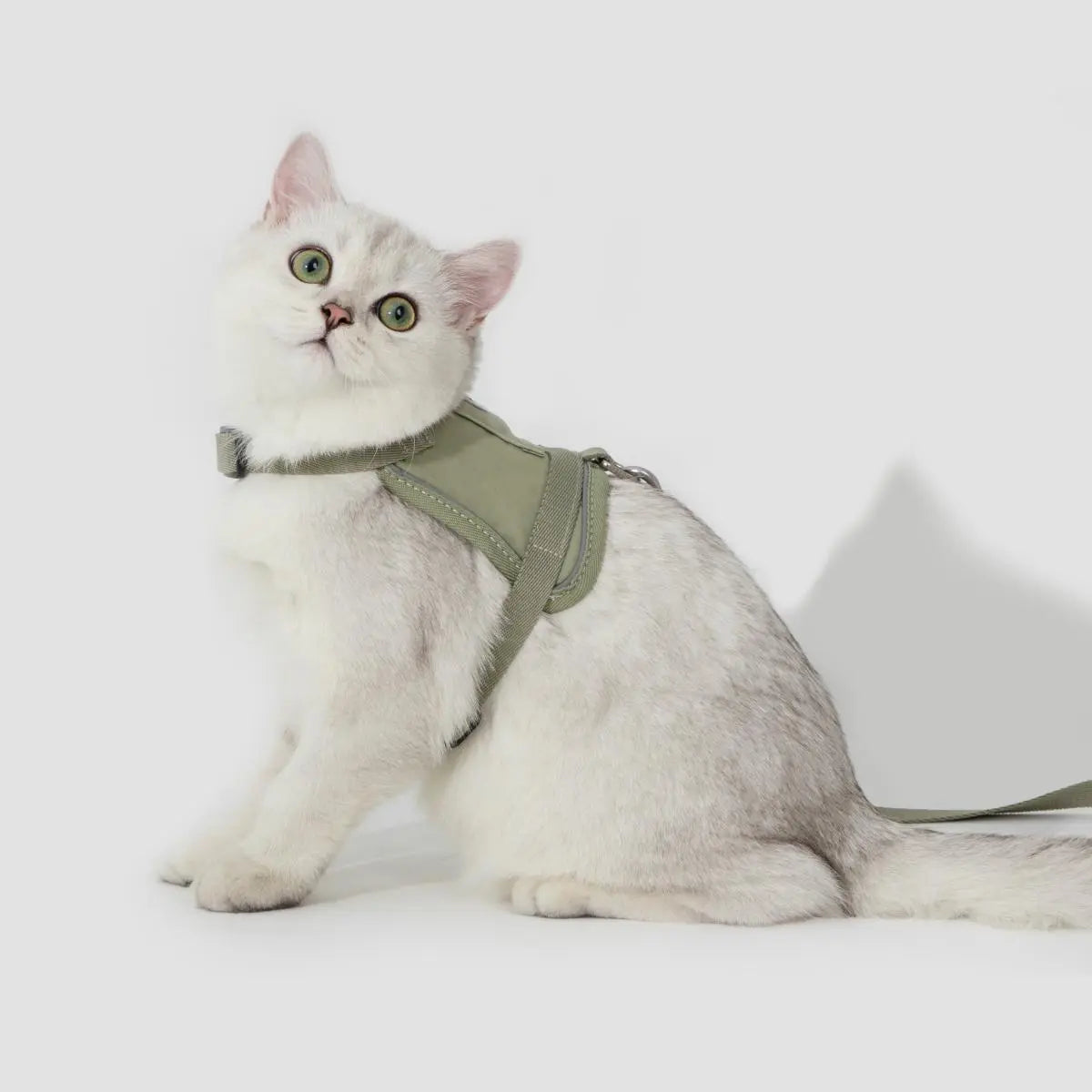 White cat wearing a vest-style cat harness and leash set, adjustable fit for small cats and kittens