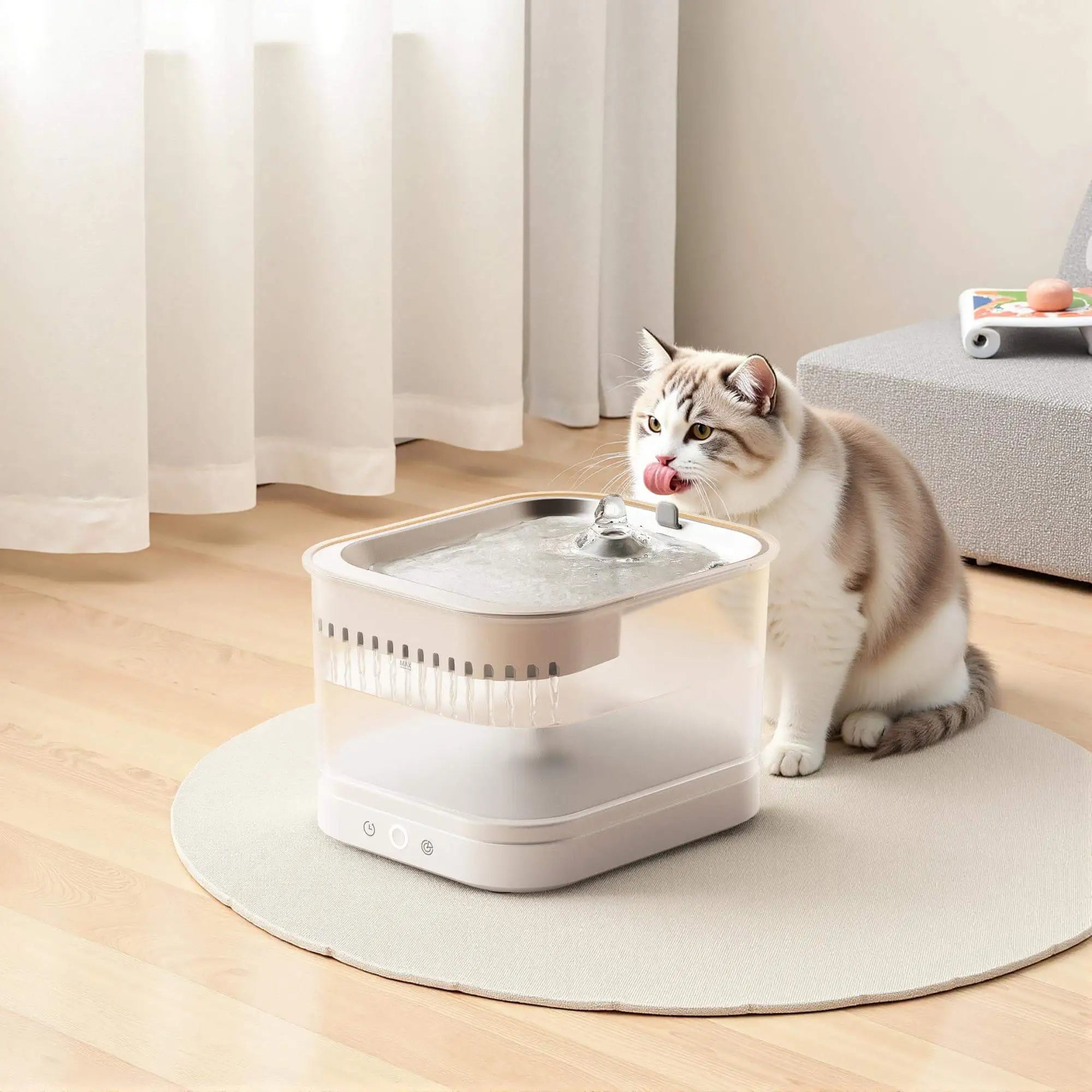 A cat calmly drinking from a serene cat water fountain scene.