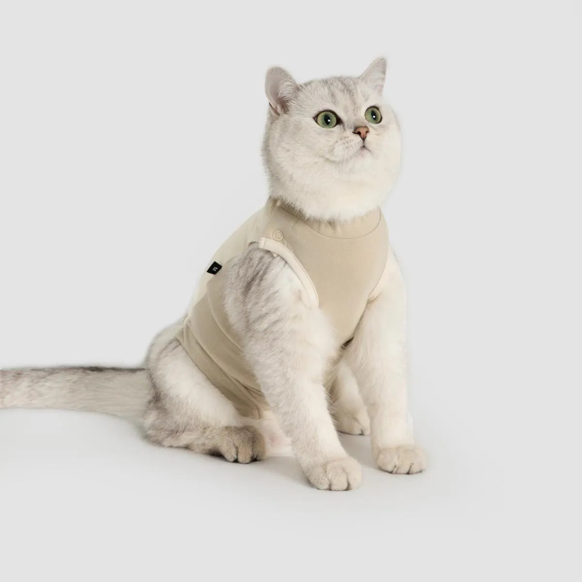 Petaura Cat Recovery Suit